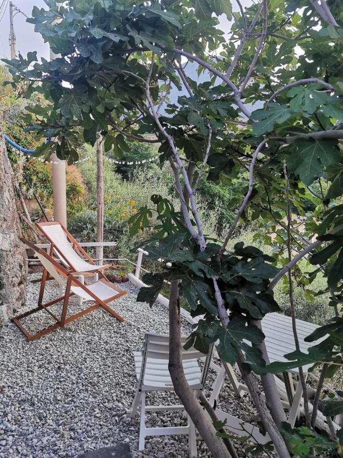 Villa Casa Vacanze Lorenzo à Malfa  Extérieur photo
